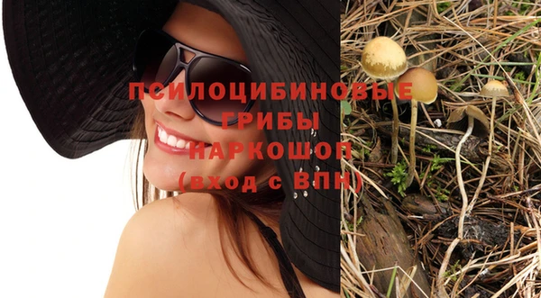 прущие крисы Алексеевка