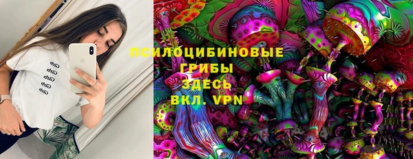 дмт Алексин